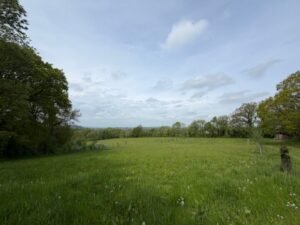 Hackpen Natural Burial Ground